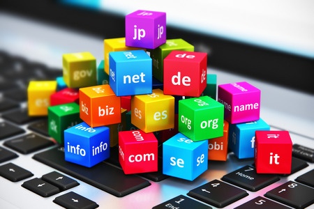 Bulk Domain Search